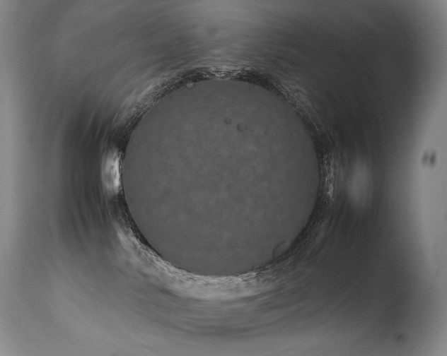X0000111810042200907231245