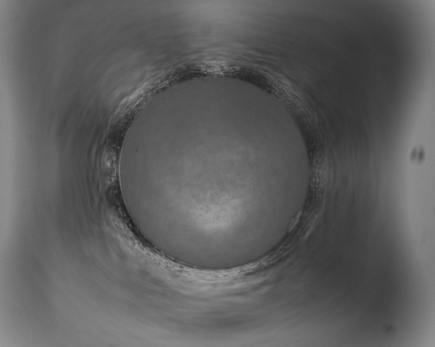 X0000111810043200907231245