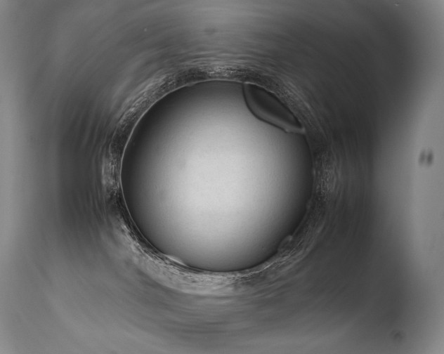 X0000111810044200907231245