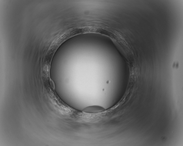 X0000111810045200907231245