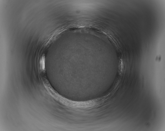 X0000111810046200907231245