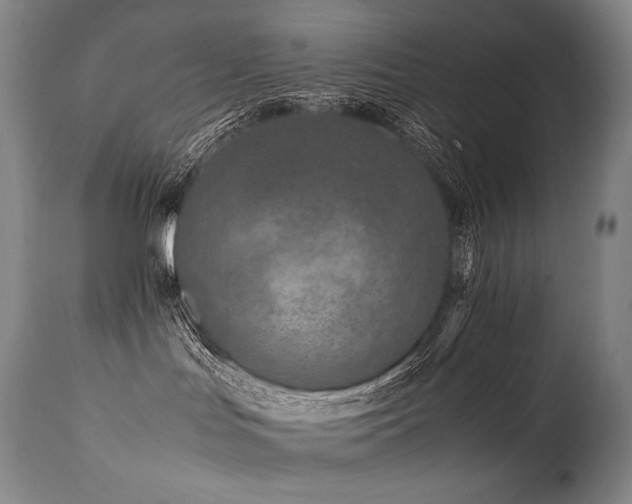 X0000111810047200907231245