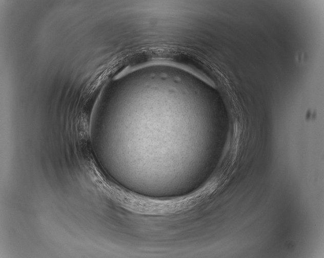 X0000111810048200907231245