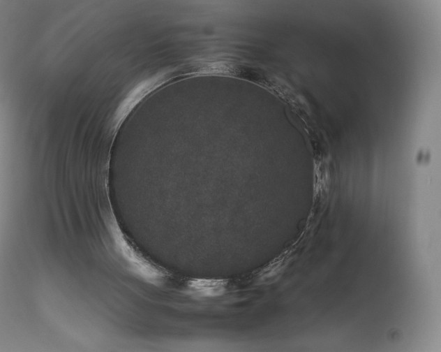 X0000111810051200907231244