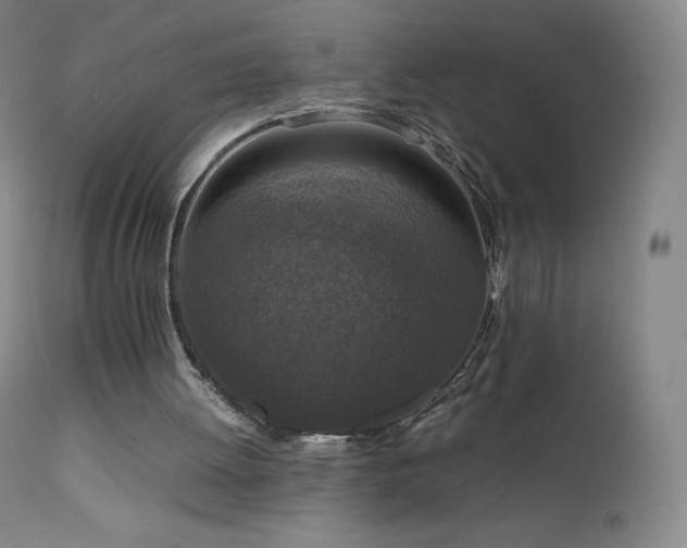 X0000111810052200907231244