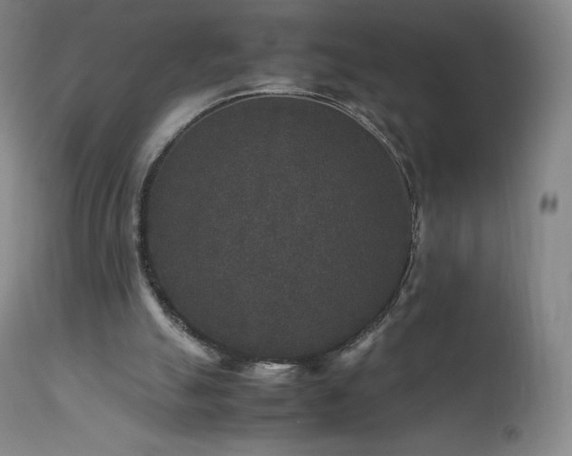 X0000111810055200907231244