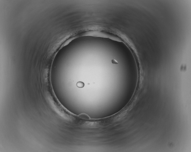 X0000111810057200907231245