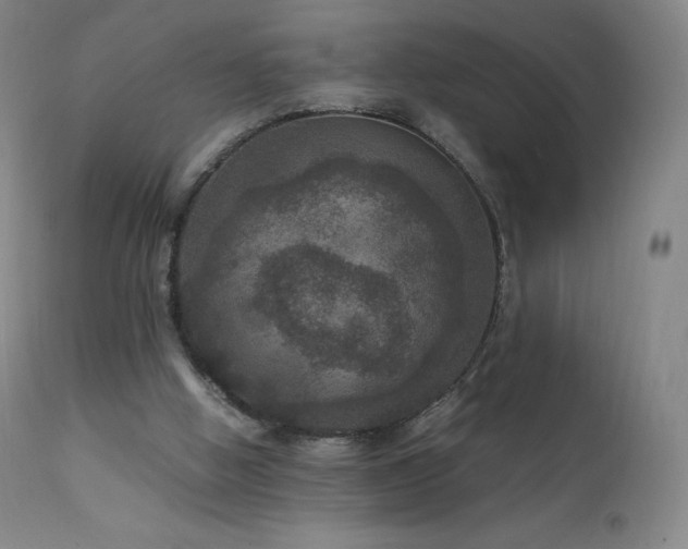 X0000111810058200907231245