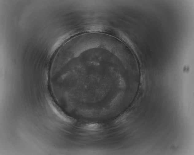 X0000111810059200907231245