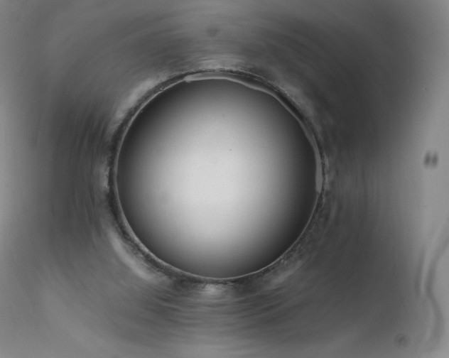 X0000111810060200907231245