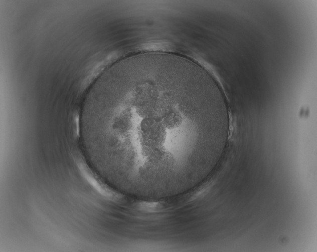 X0000111810061200907231245