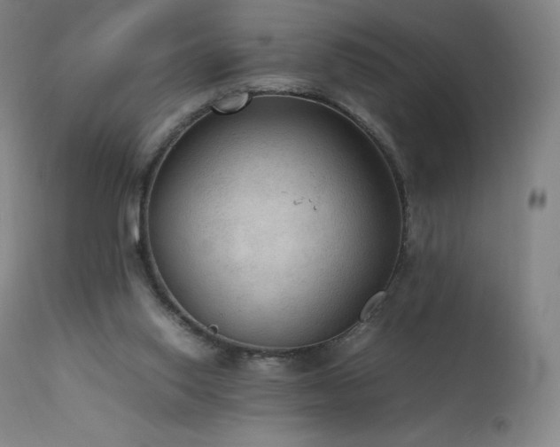 X0000111810062200907231245
