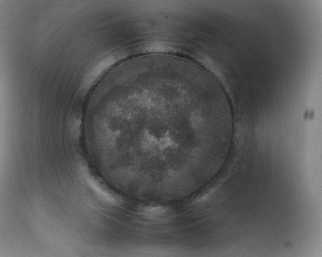 X0000111810063200907231245