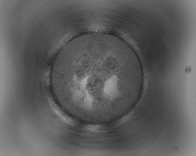 X0000111810065200907231245