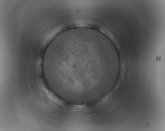 X0000111810066200907231245