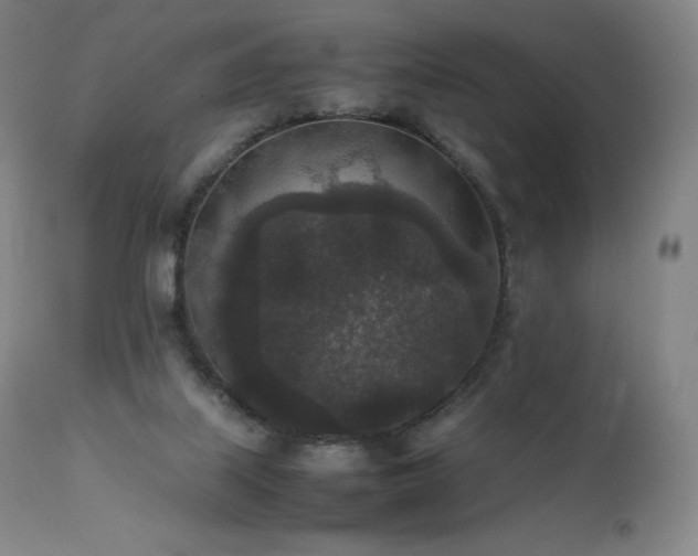X0000111810067200907231245