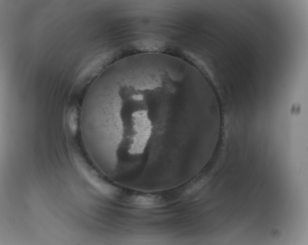 X0000111810069200907231245