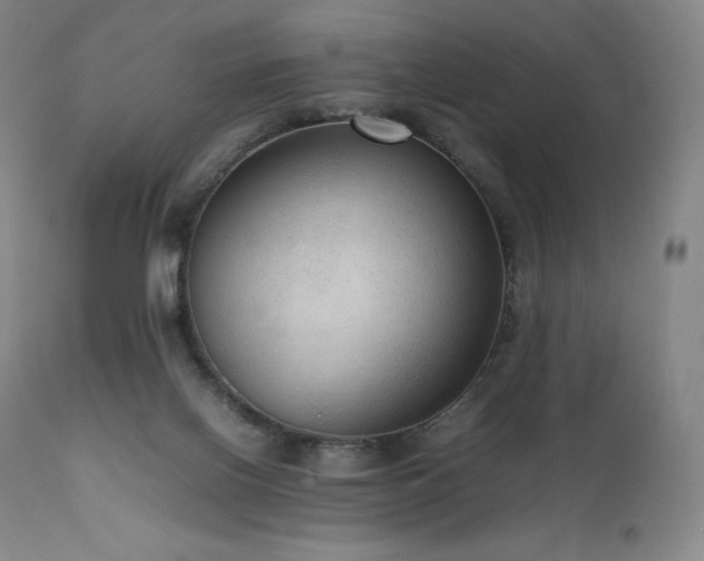 X0000111810070200907231245