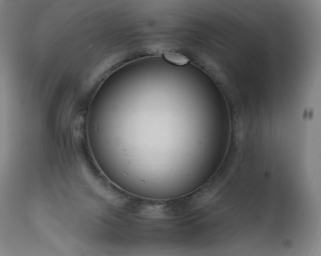 X0000111810071200907231245