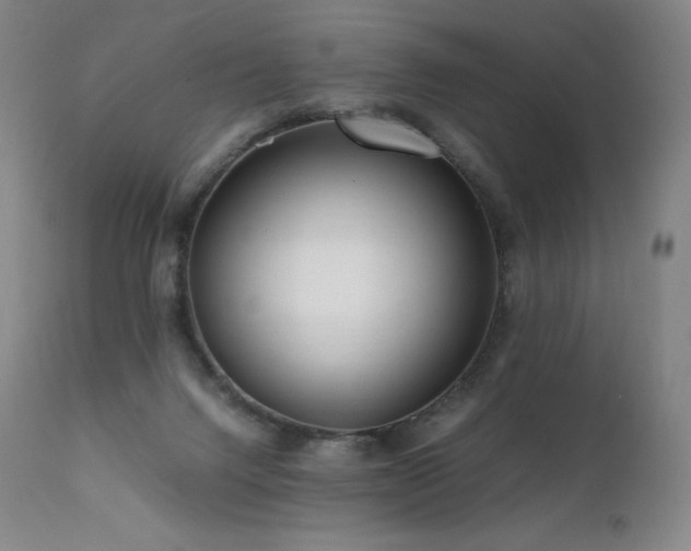 X0000111810072200907231245