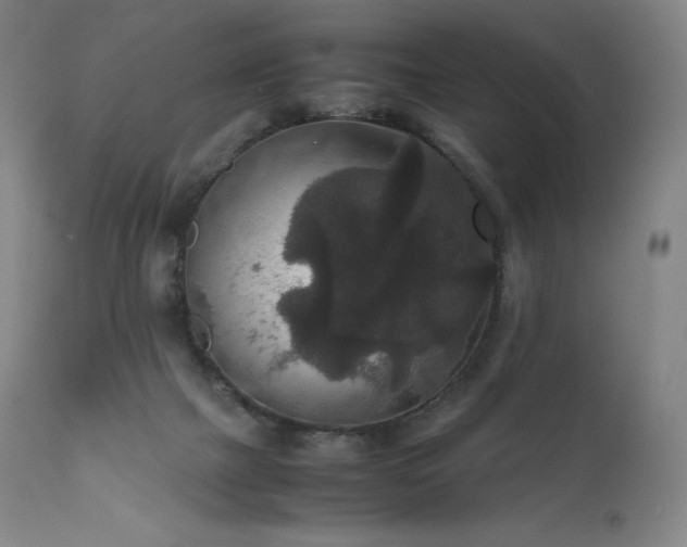 X0000111810073200907231245