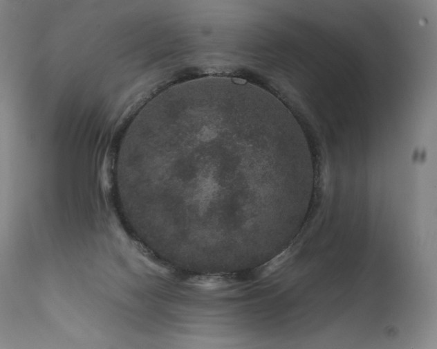 X0000111810074200907231245