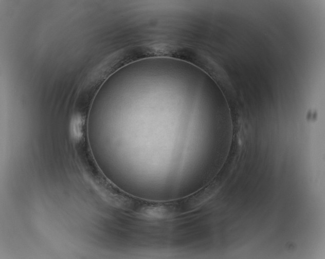 X0000111810075200907231245
