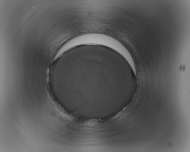 X0000111810076200907231245