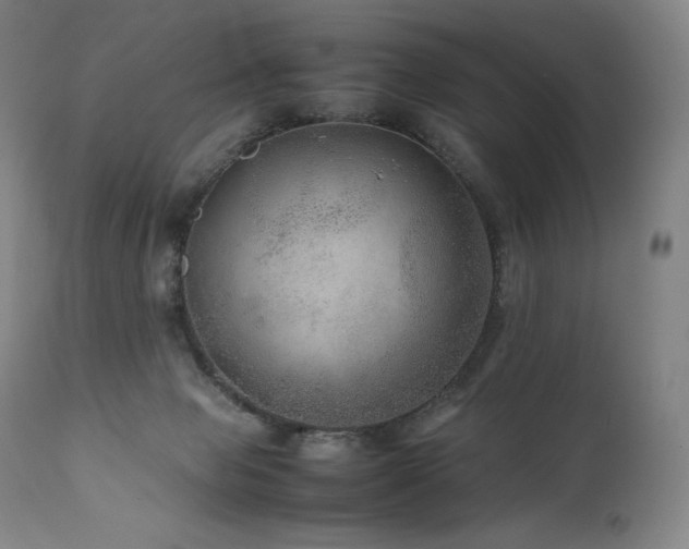X0000111810077200907231245