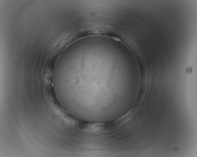 X0000111810078200907231245
