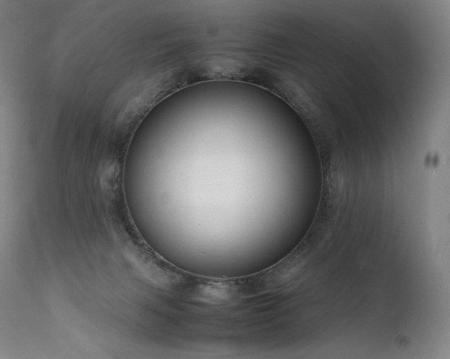 X0000111810079200907231245