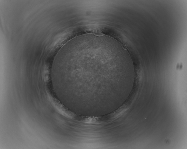 X0000111810080200907231245