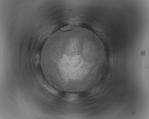 X0000111810081200907231245