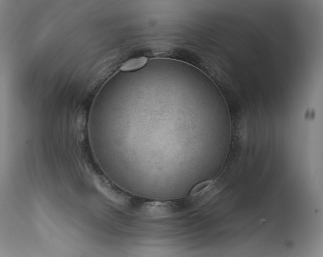X0000111810082200907231245