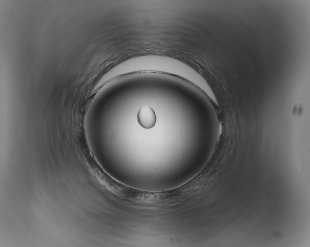 X0000111810084200907231245