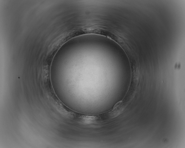 X0000111810085200907231245