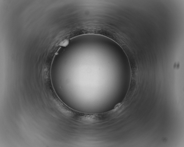 X0000111810086200907231245