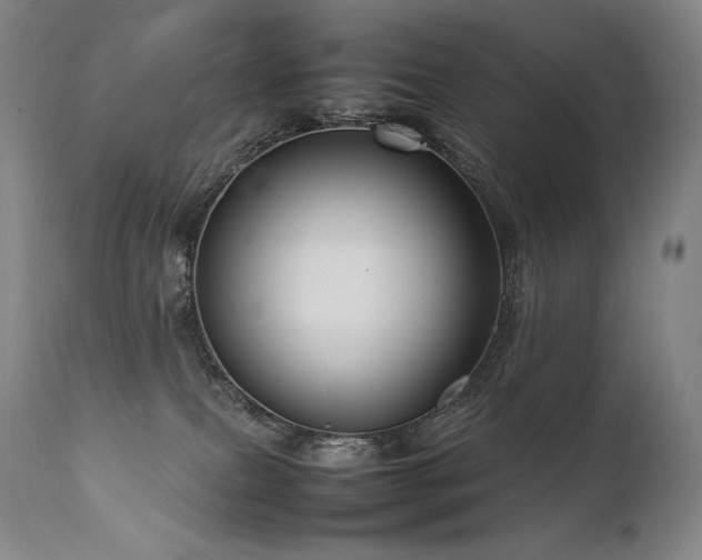 X0000111810087200907231245
