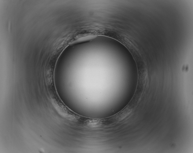 X0000111810088200907231245