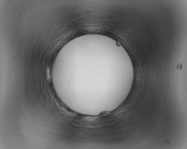 X0000111810089200907231245
