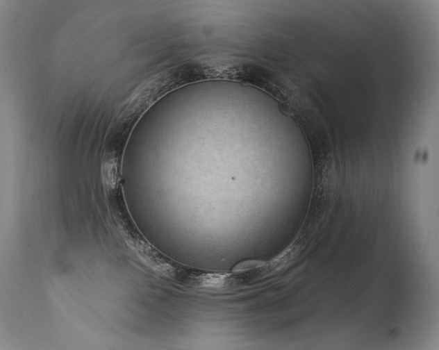 X0000111810090200907231245