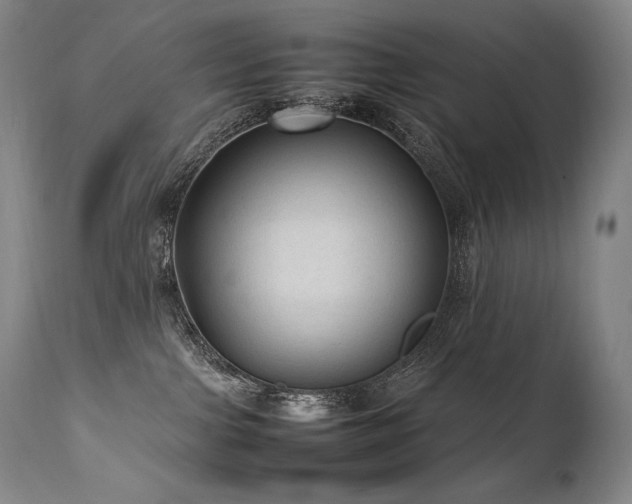 X0000111810091200907231245