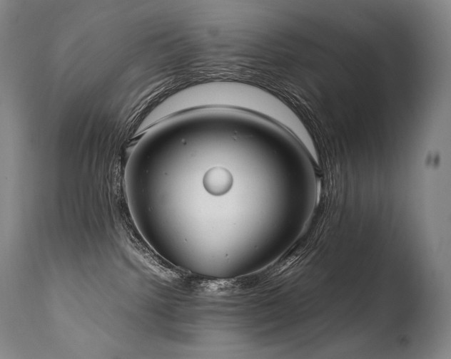 X0000111810092200907231245