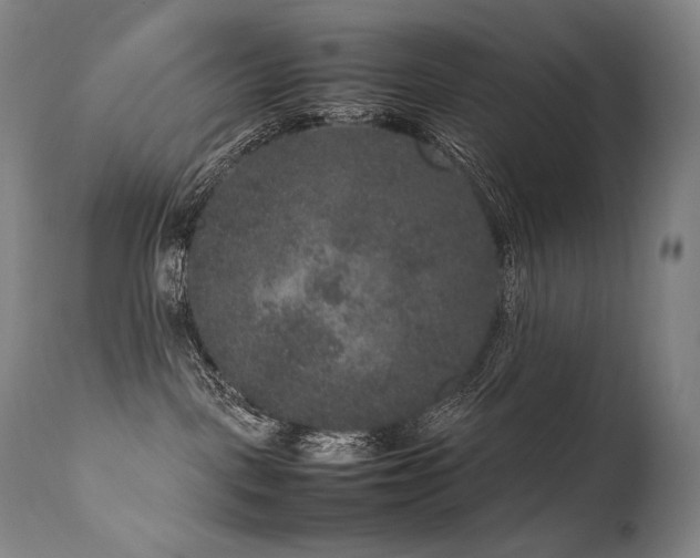 X0000111810093200907231245
