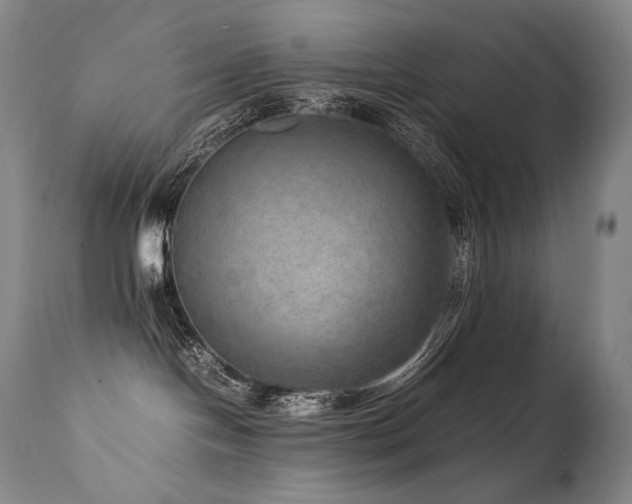 X0000111810094200907231245