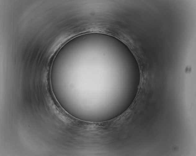 X0000111810098200907231244