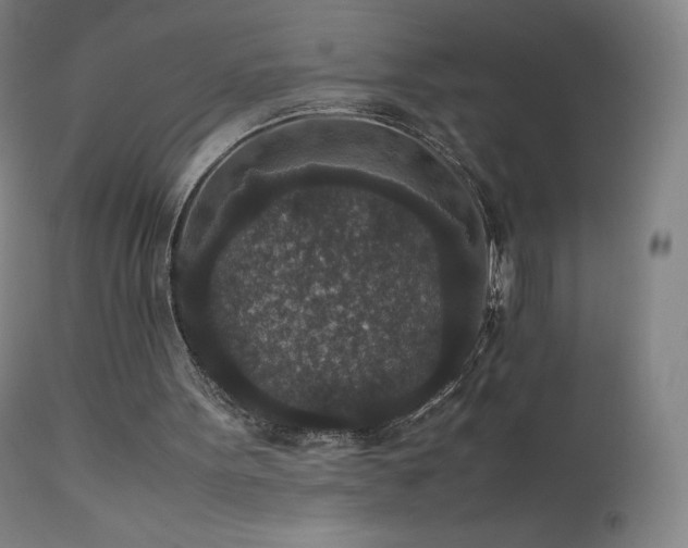 X0000111810099200907231244