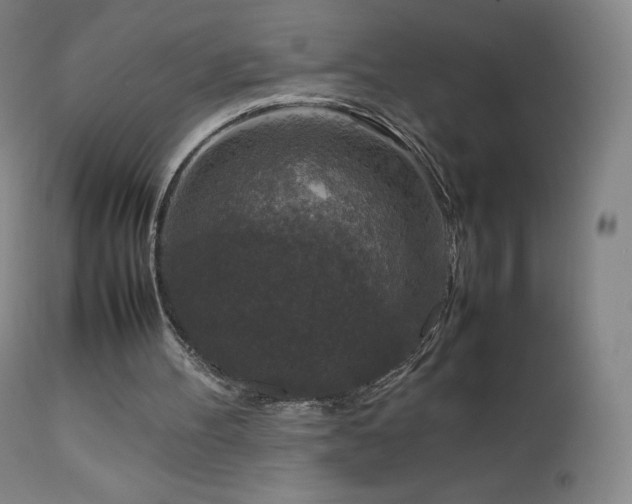 X0000111810100200907231244