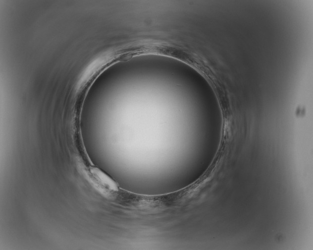 X0000111810101200907231244