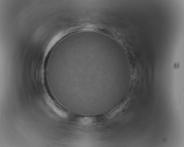 X0000111810102200907231244
